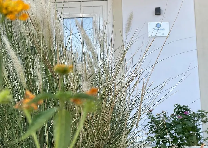 Odysseus Boutique Appartement